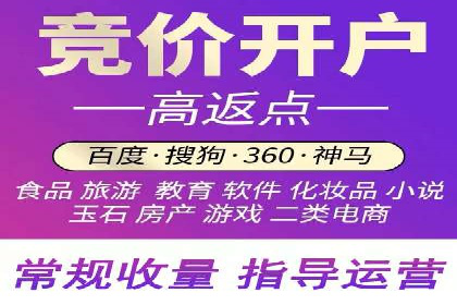 成功背后的力量：SEM推广代运营公司的故事